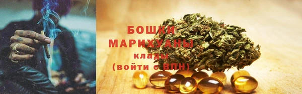 гидра Елабуга