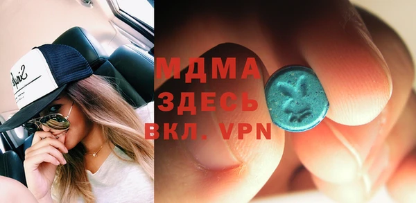 индика Елизово
