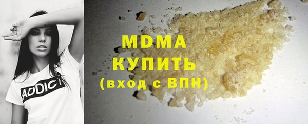 индика Елизово