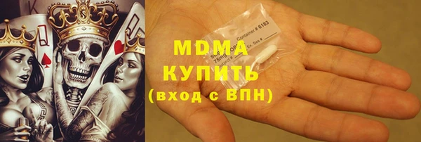 индика Елизово
