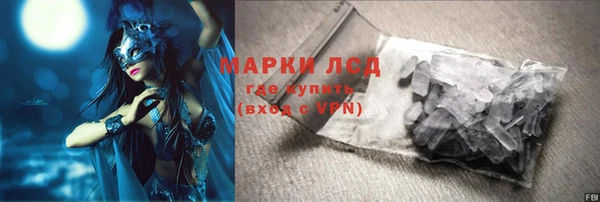 индика Елизово