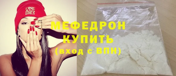 индика Елизово