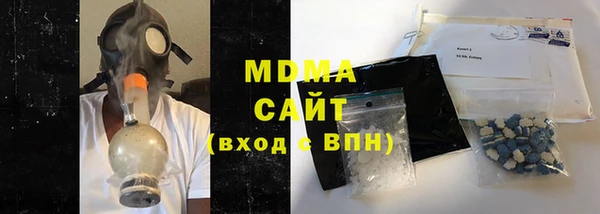 индика Елизово