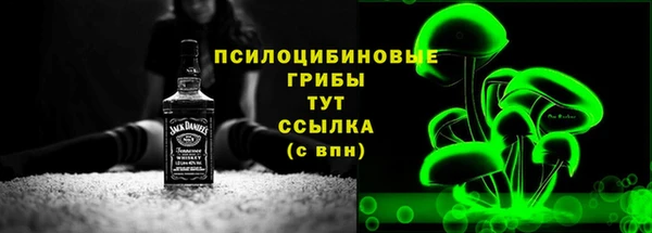 гидра Елабуга