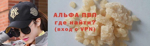 индика Елизово