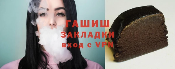 индика Елизово