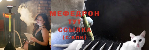 индика Елизово