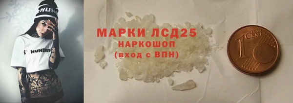 гидра Елабуга
