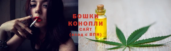 гидра Елабуга