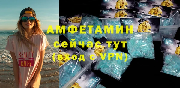 гидра Елабуга