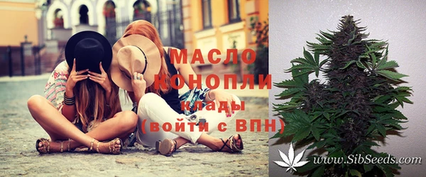 индика Елизово