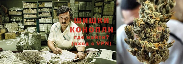 гидра Елабуга