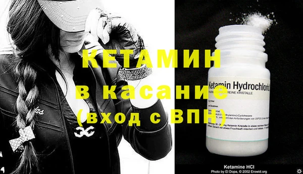 индика Елизово