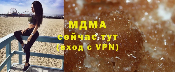 индика Елизово