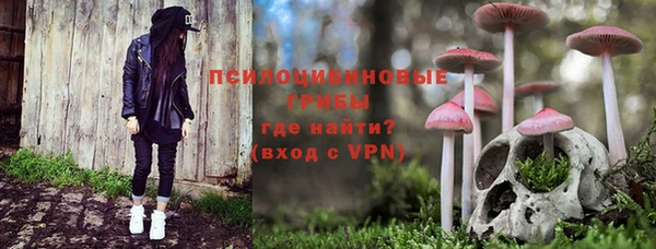 индика Елизово