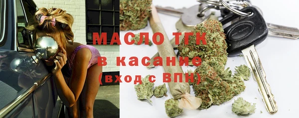 гидра Елабуга