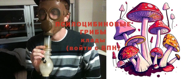 марки lsd Ельня