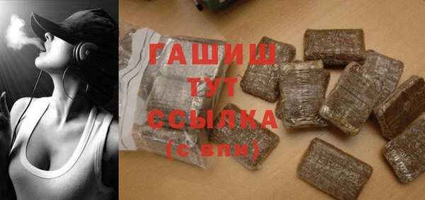 индика Елизово