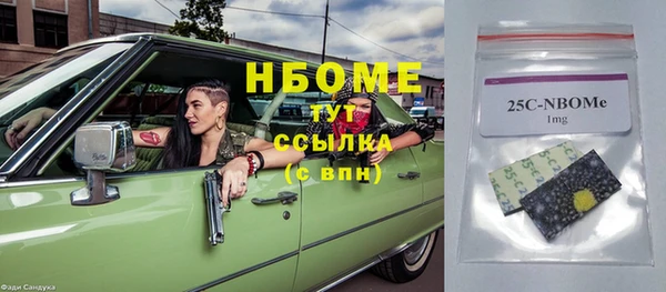 индика Елизово