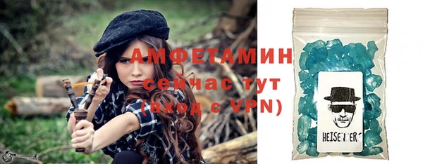 индика Елизово