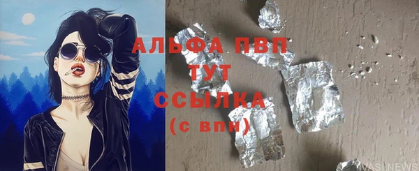 гидра Елабуга