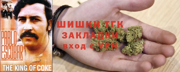 гидра Елабуга
