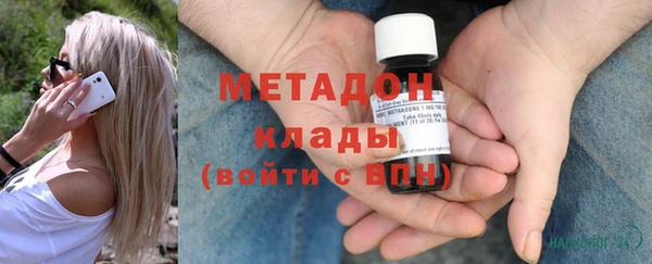 индика Елизово